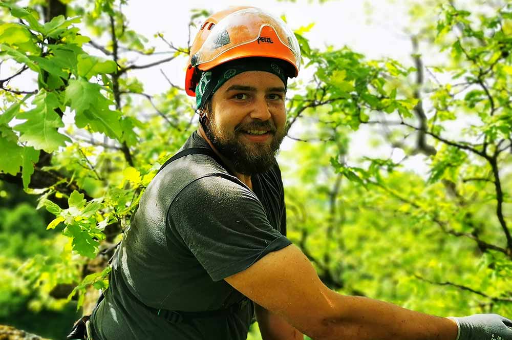 Lehrling Filip Falger Baumpflege Matzer